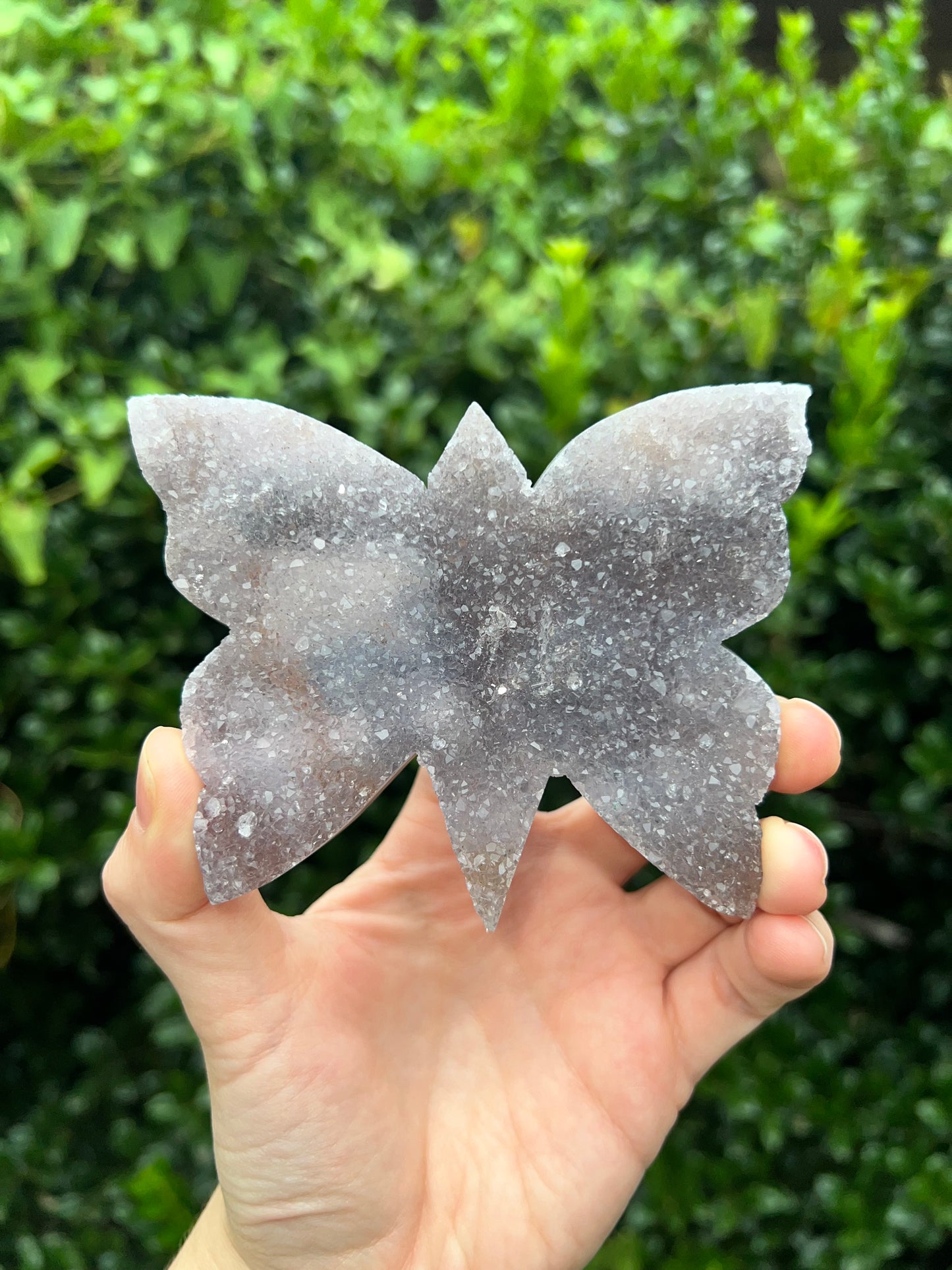 Zeolite Butterflies