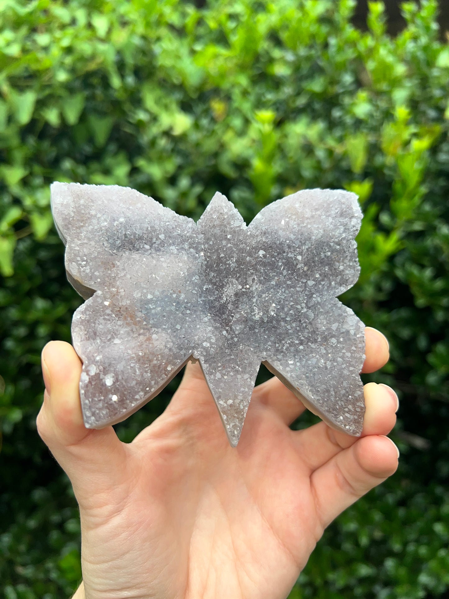Zeolite Butterflies