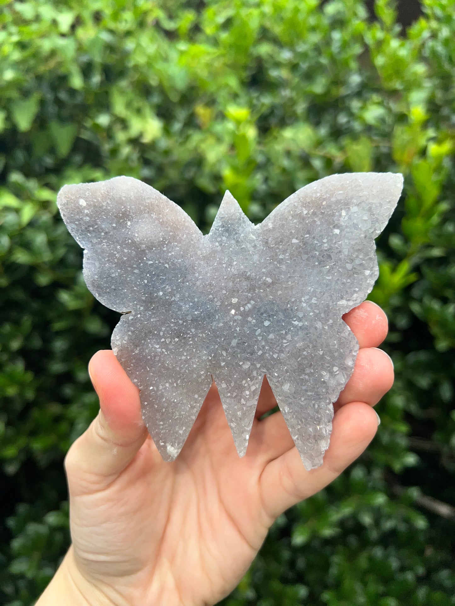 Zeolite Butterflies