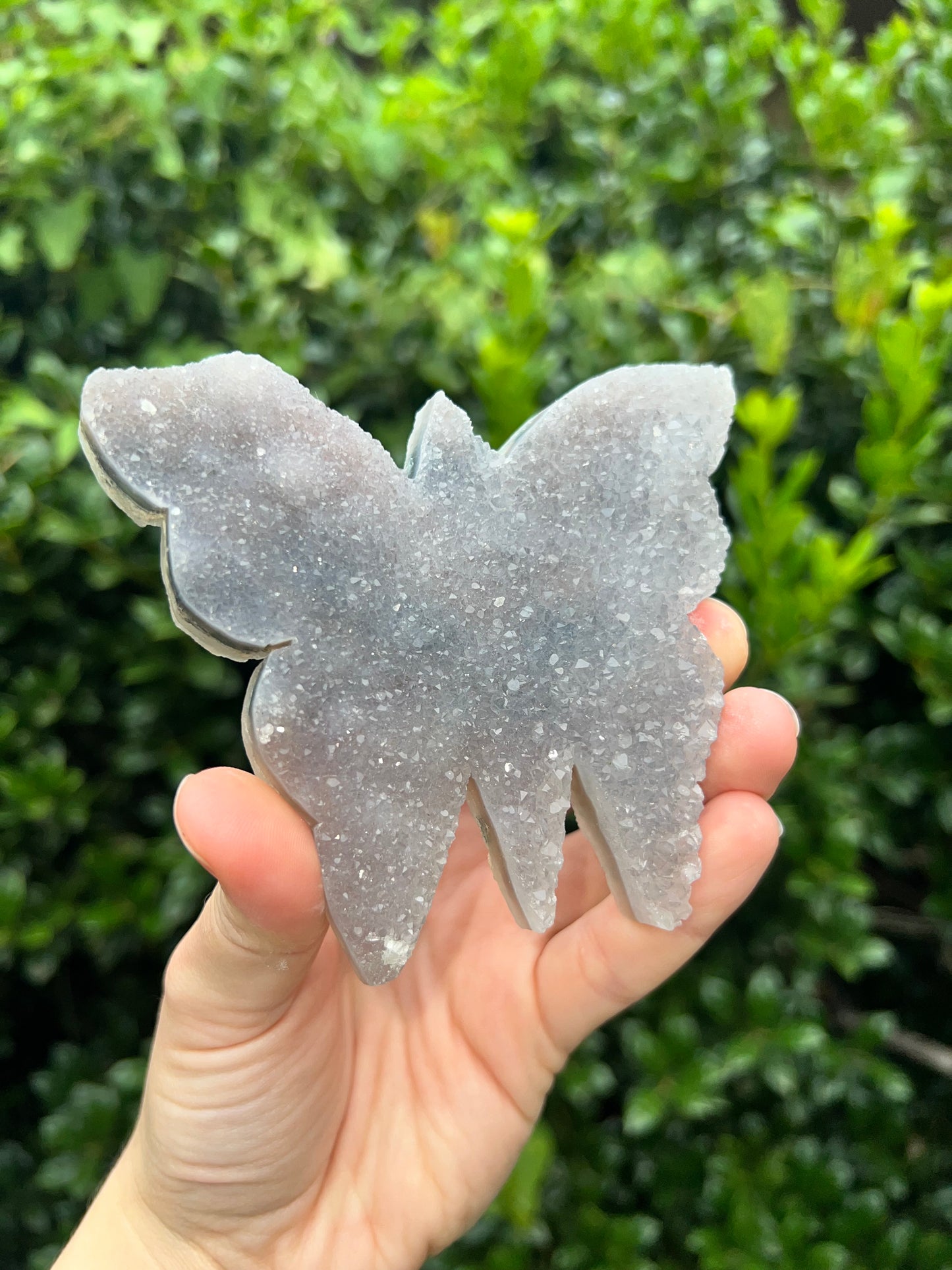 Zeolite Butterflies