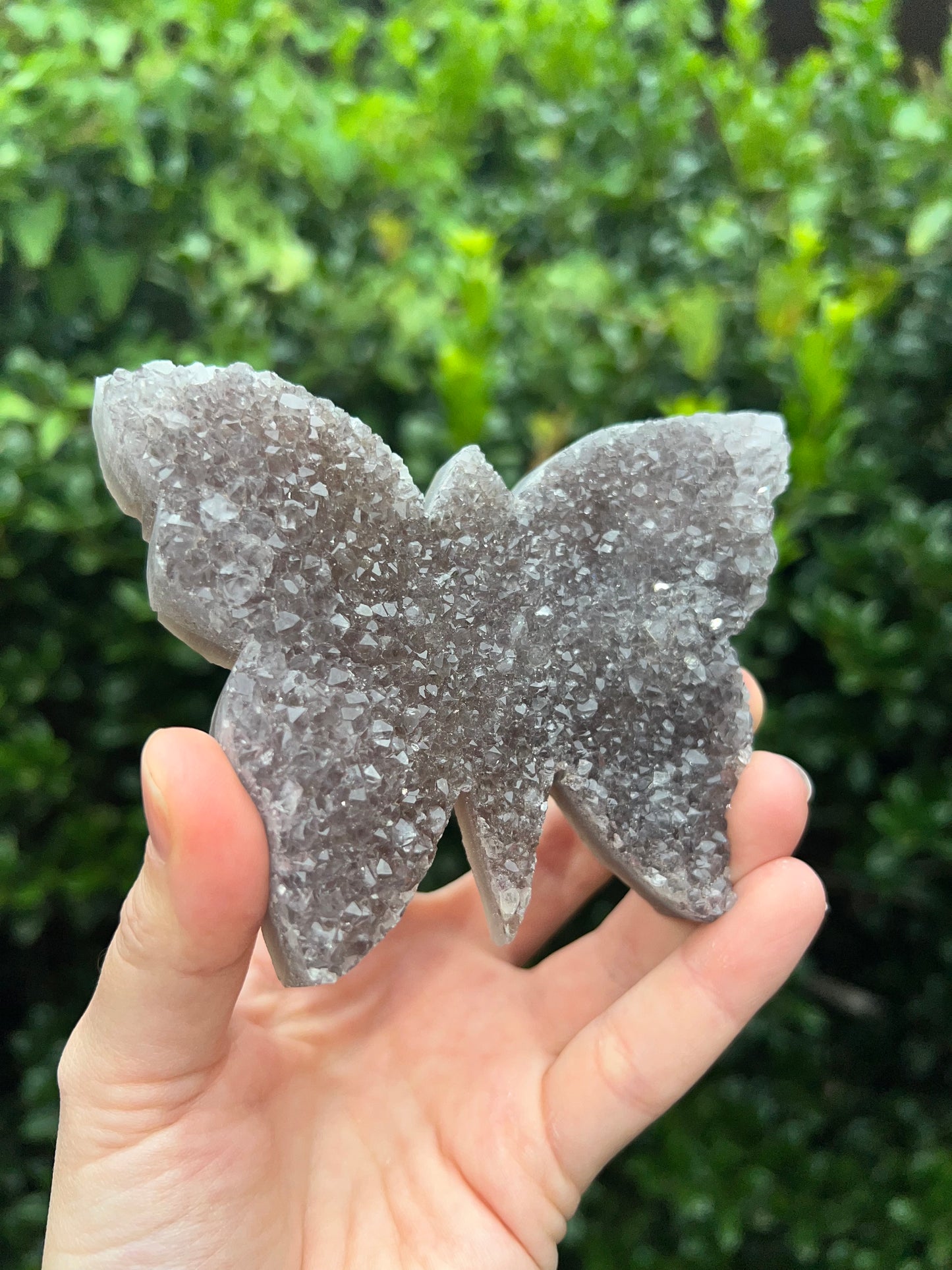 Zeolite Butterflies