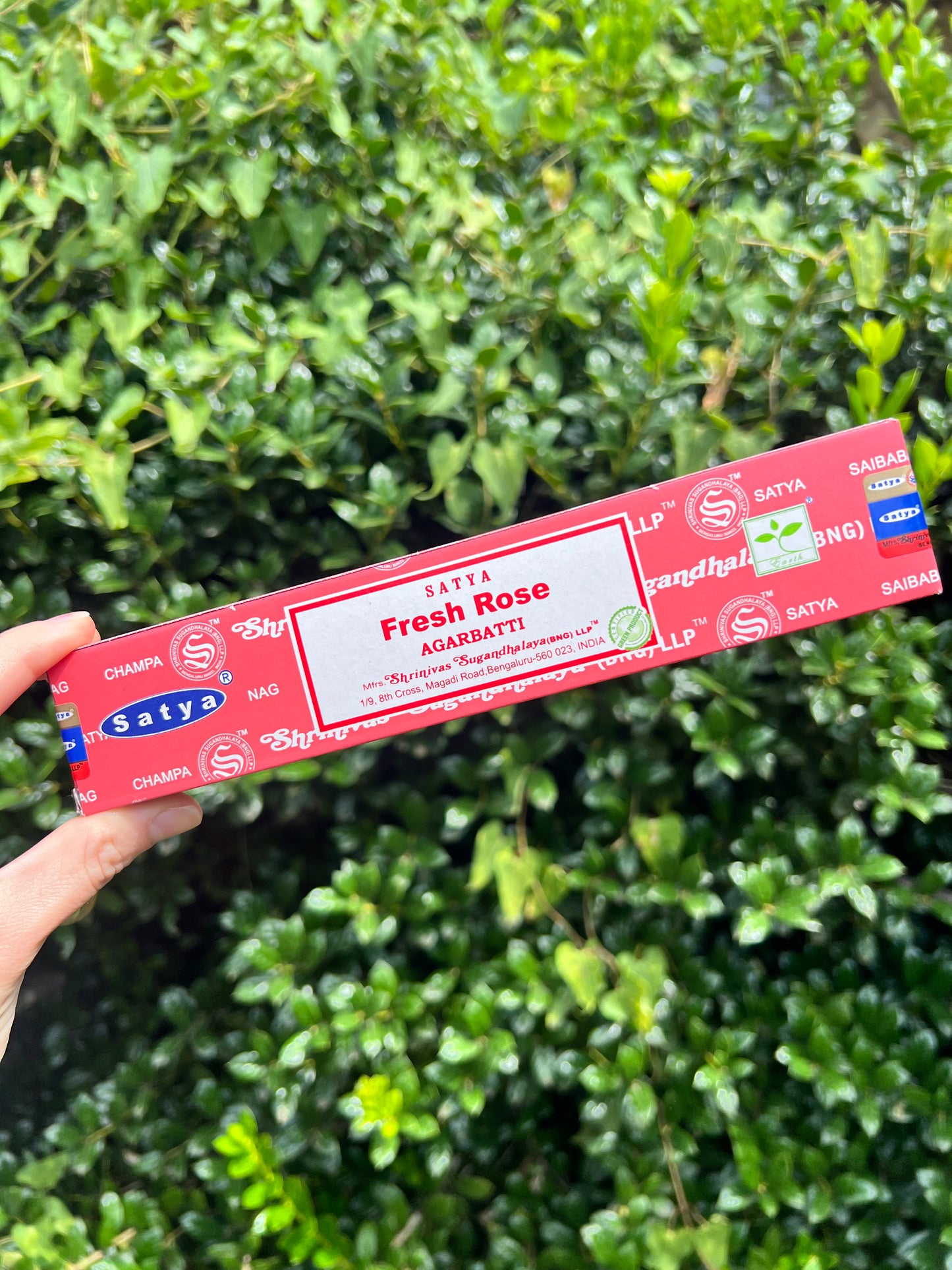 Incense Sticks