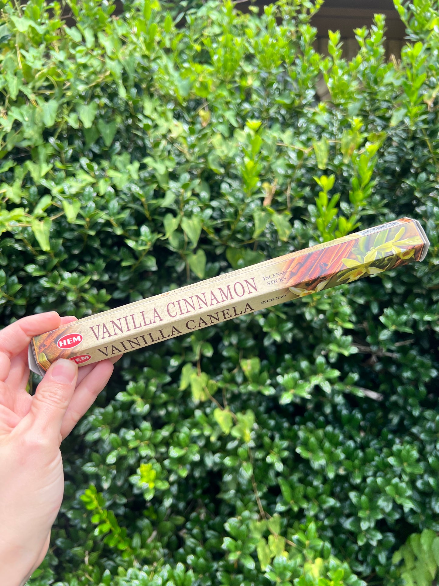 Incense Sticks