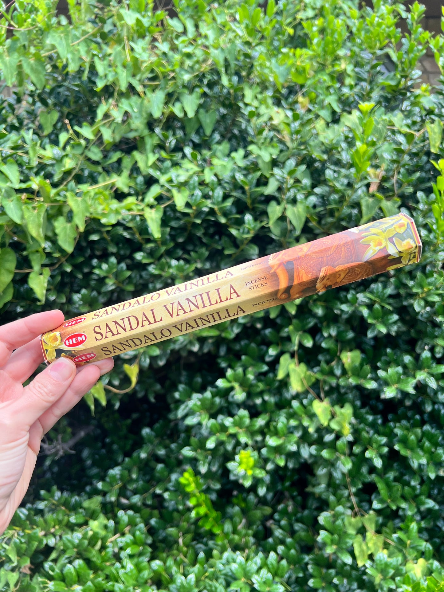 Incense Sticks