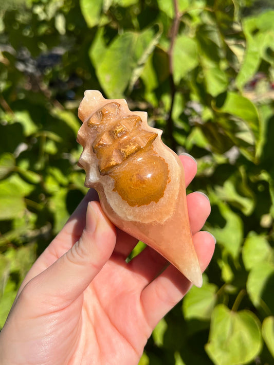 Mexican Onyx Shell Carvings
