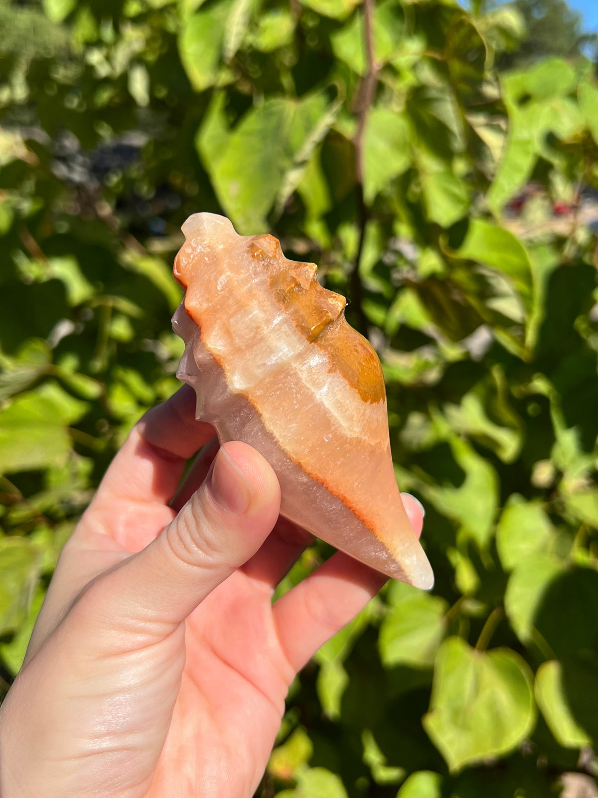 Mexican Onyx Shell Carvings