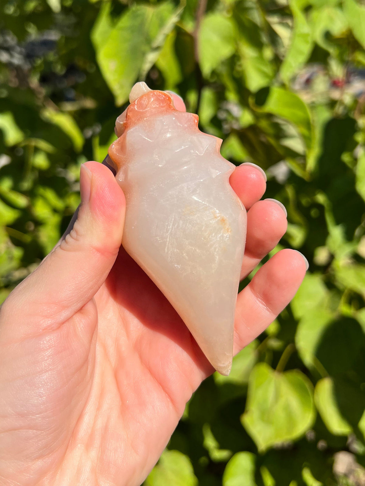 Mexican Onyx Shell Carvings