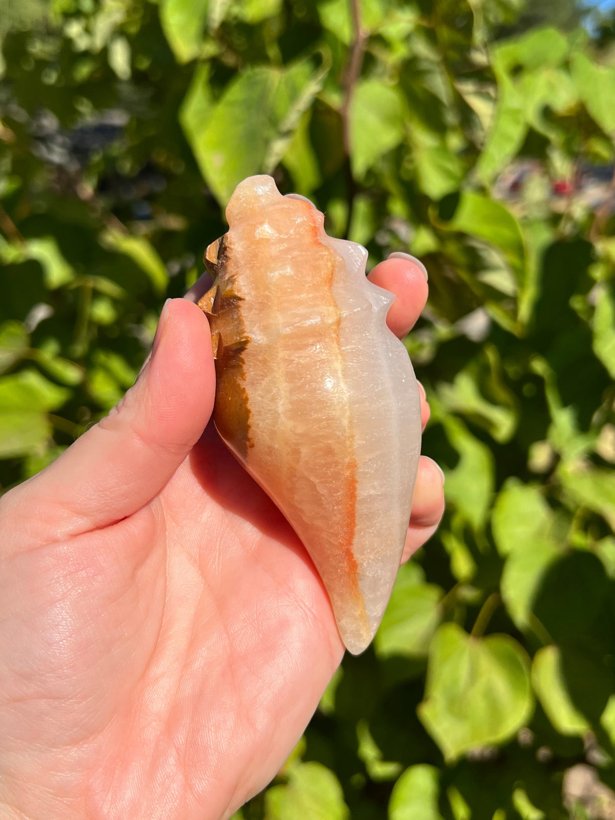 Mexican Onyx Shell Carvings