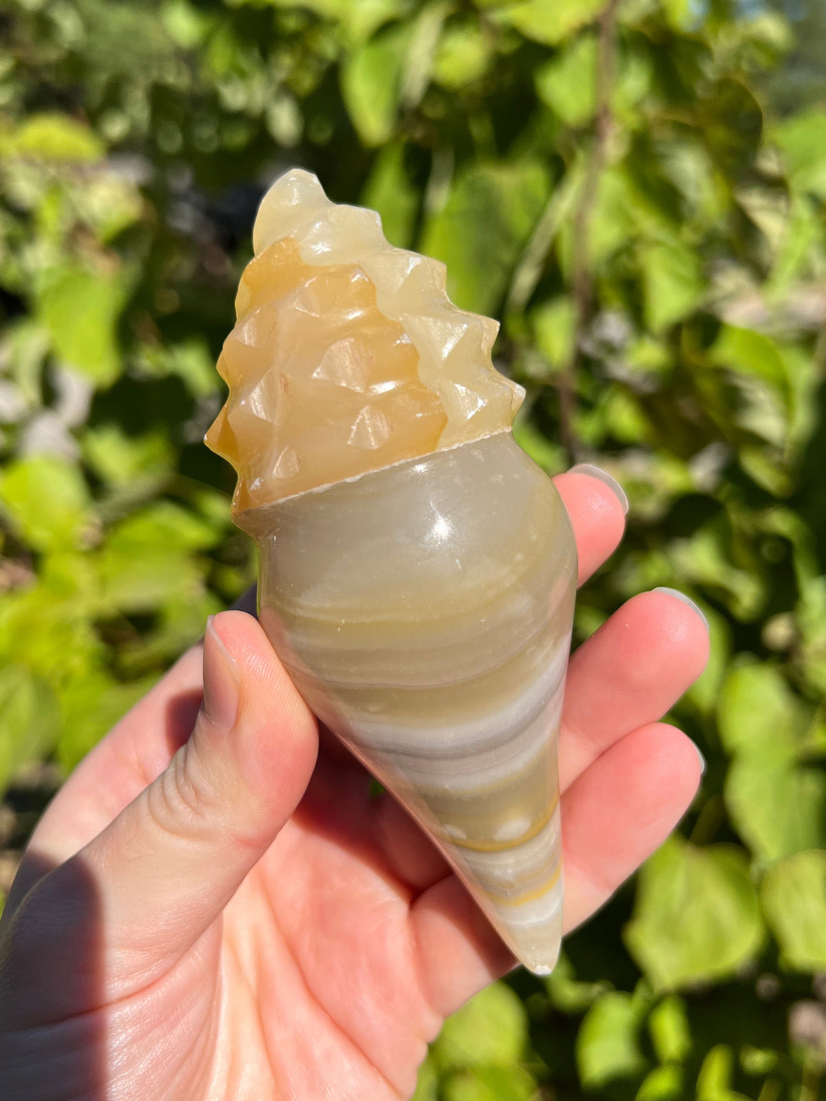 Mexican Onyx Shell Carvings