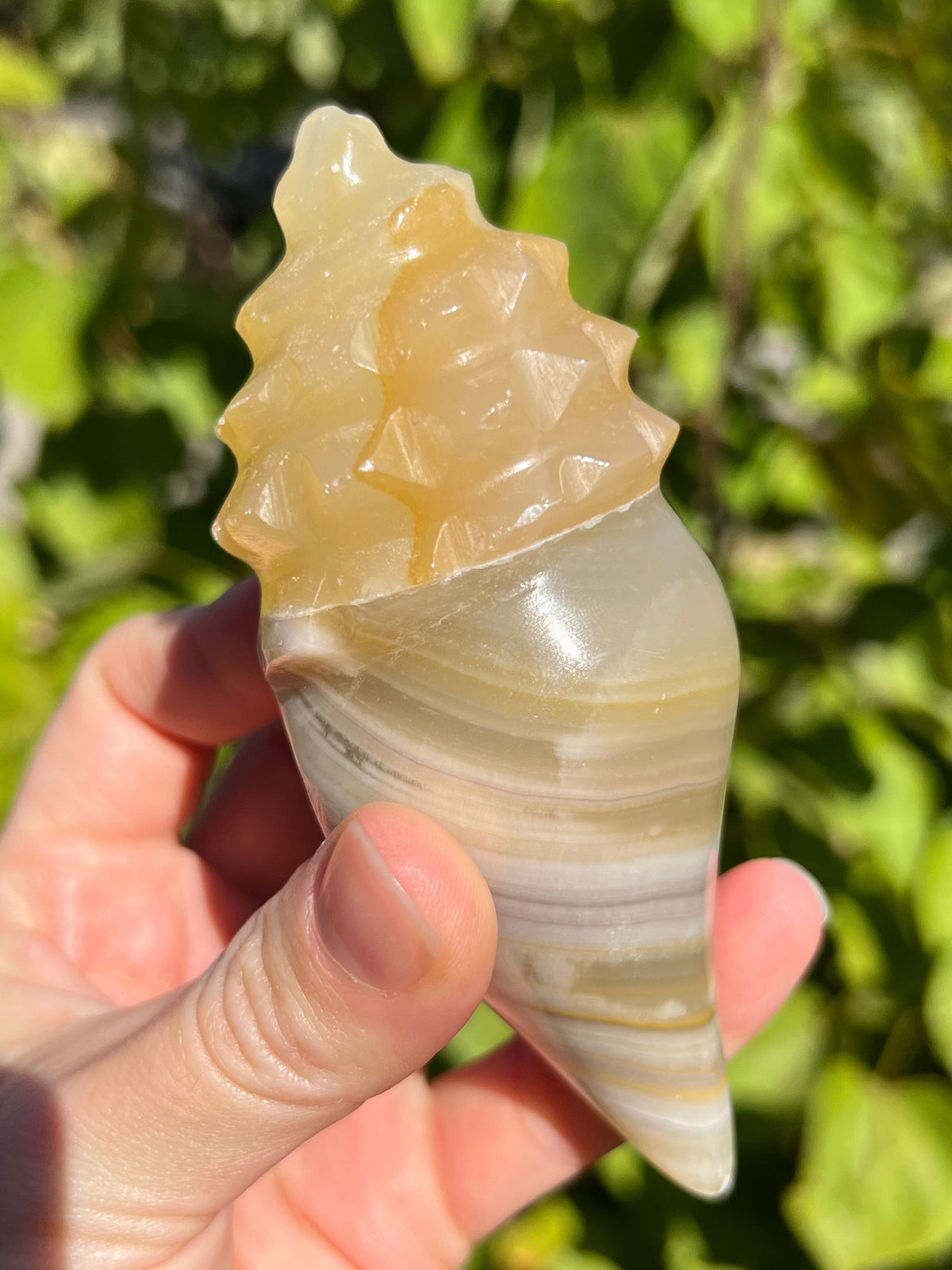 Mexican Onyx Shell Carvings