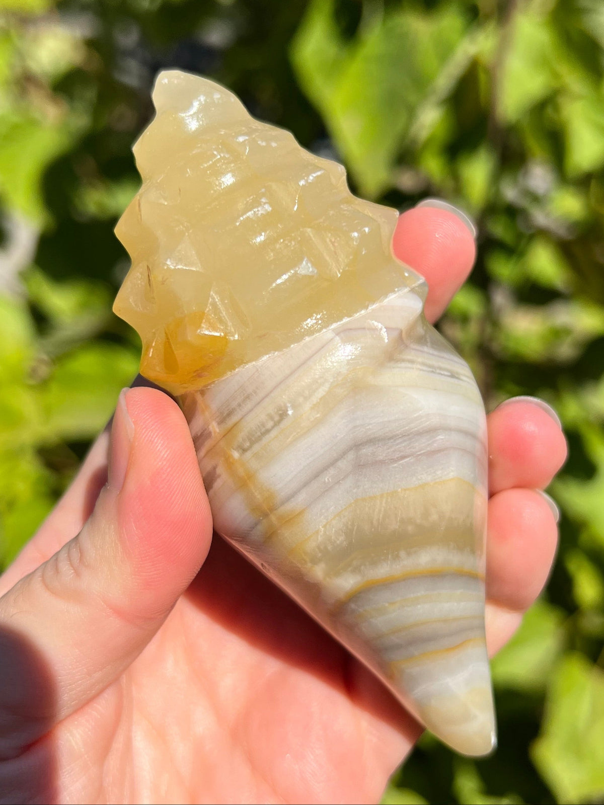 Mexican Onyx Shell Carvings