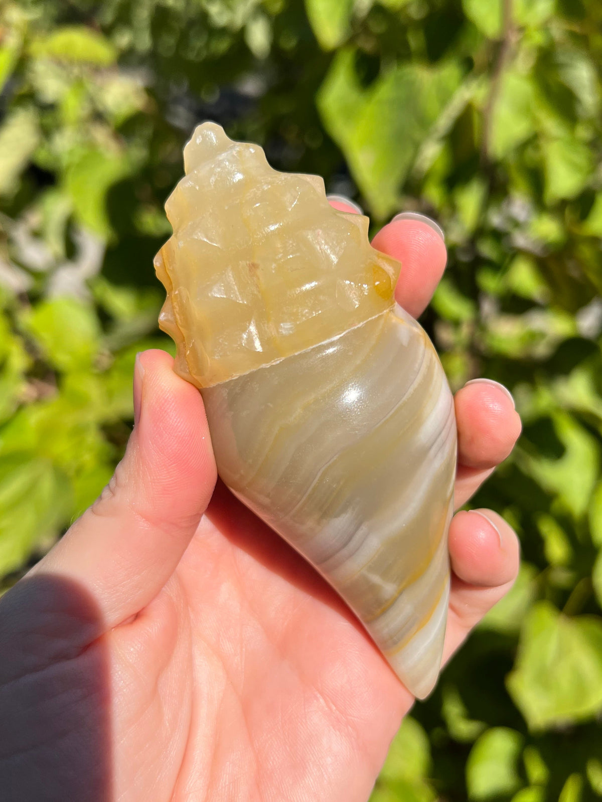 Mexican Onyx Shell Carvings