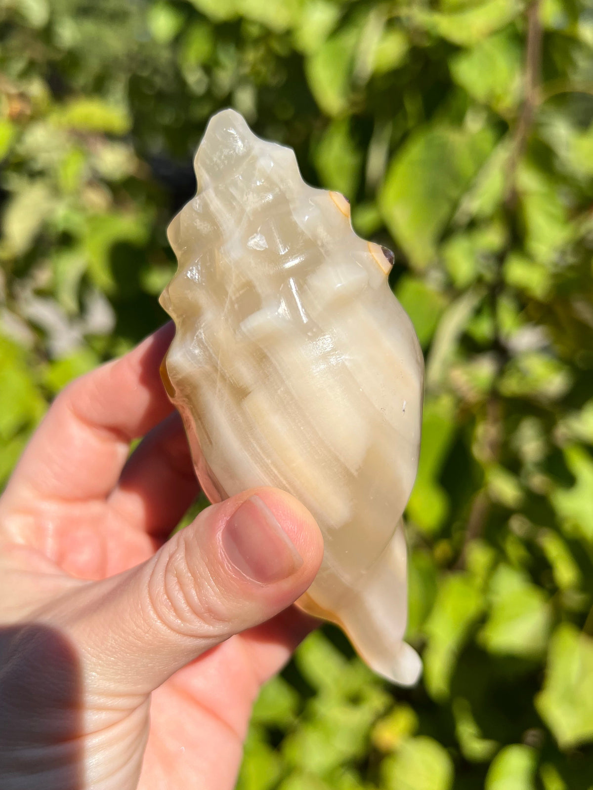 Mexican Onyx Shell Carvings