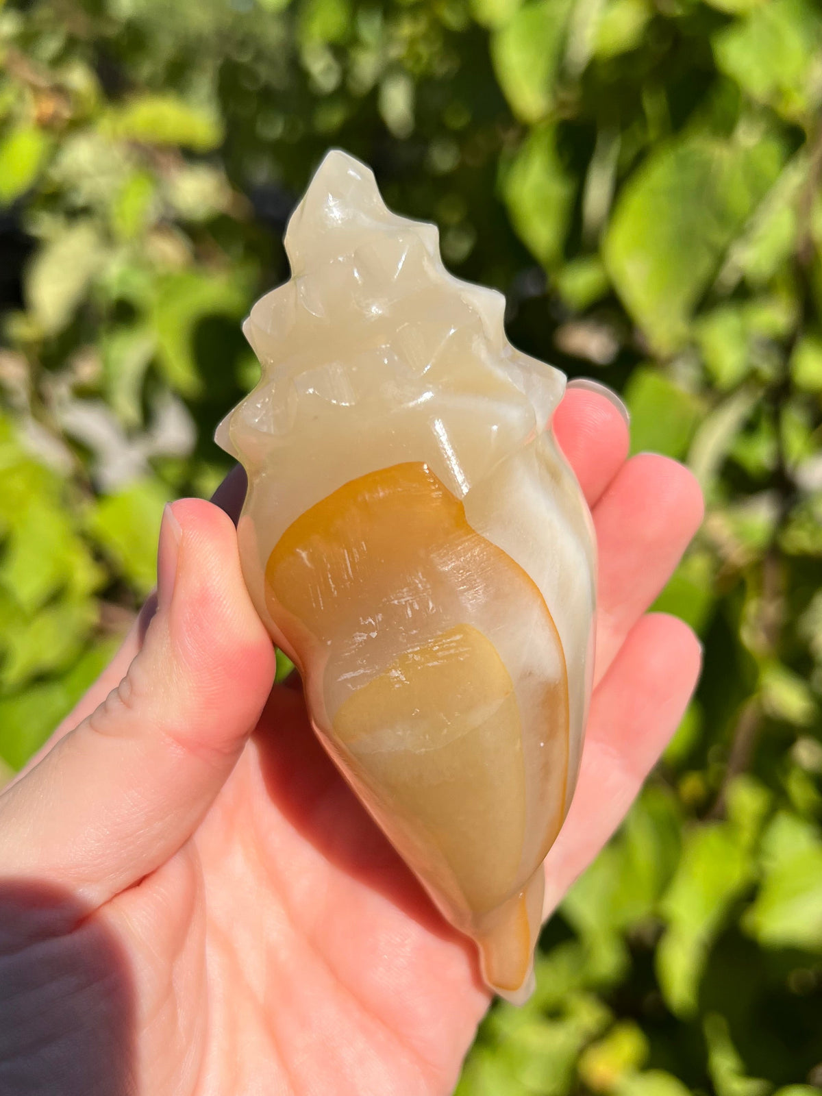 Mexican Onyx Shell Carvings