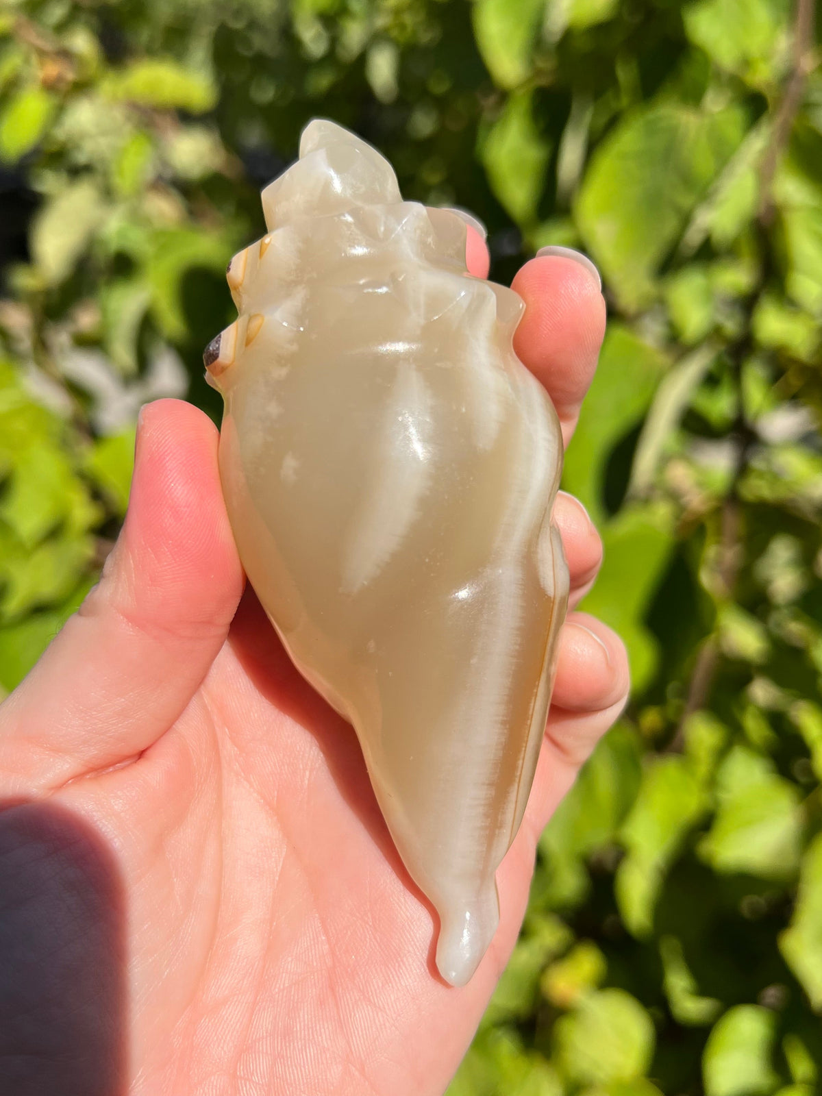 Mexican Onyx Shell Carvings
