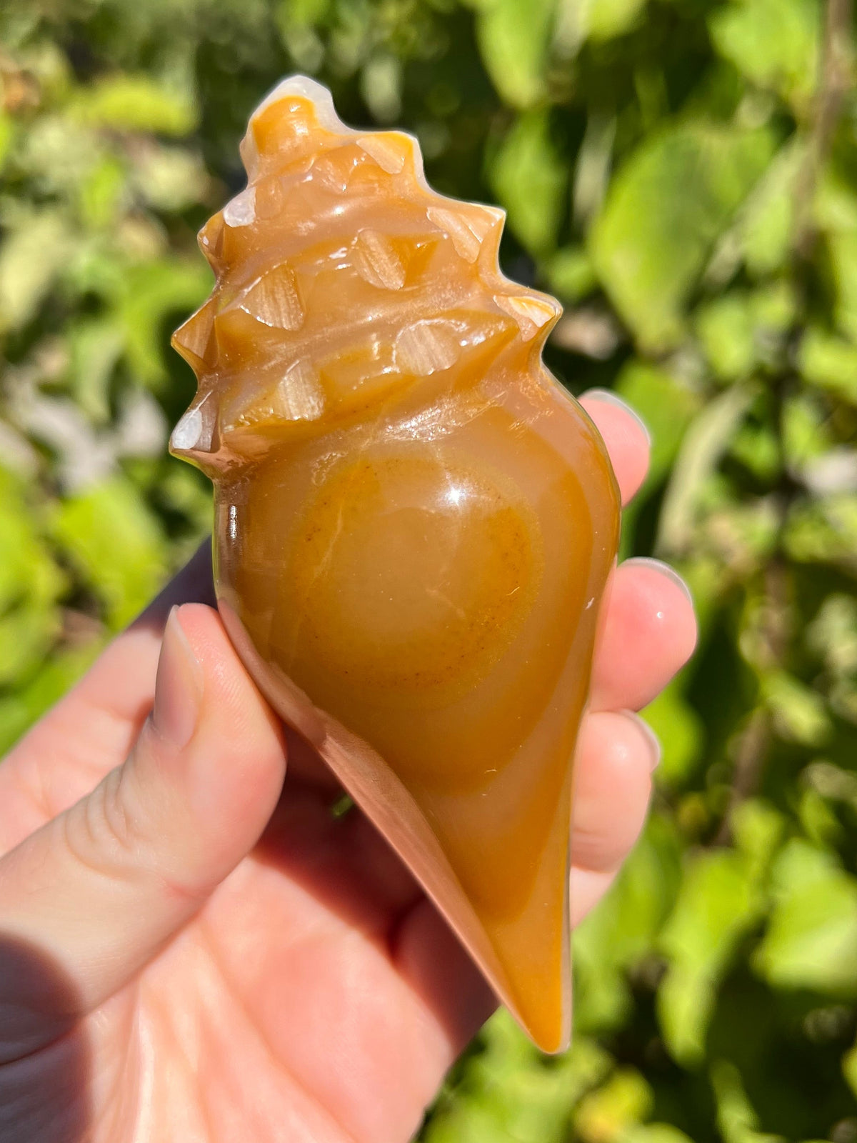 Mexican Onyx Shell Carvings