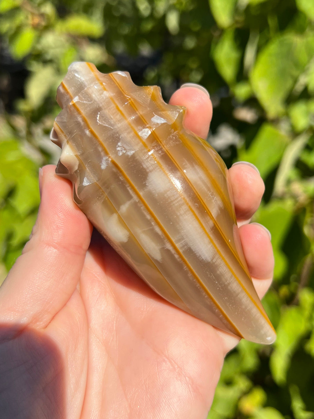 Mexican Onyx Shell Carvings
