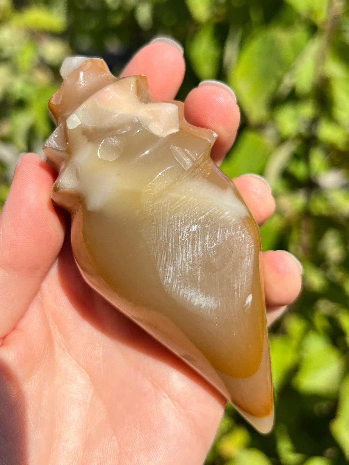 Mexican Onyx Shell Carvings