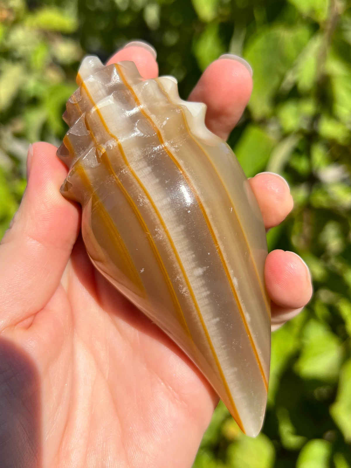 Mexican Onyx Shell Carvings