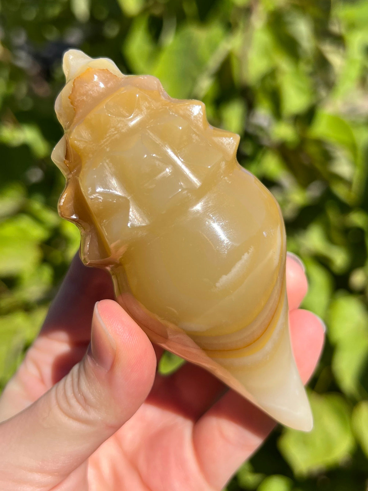 Mexican Onyx Shell Carvings