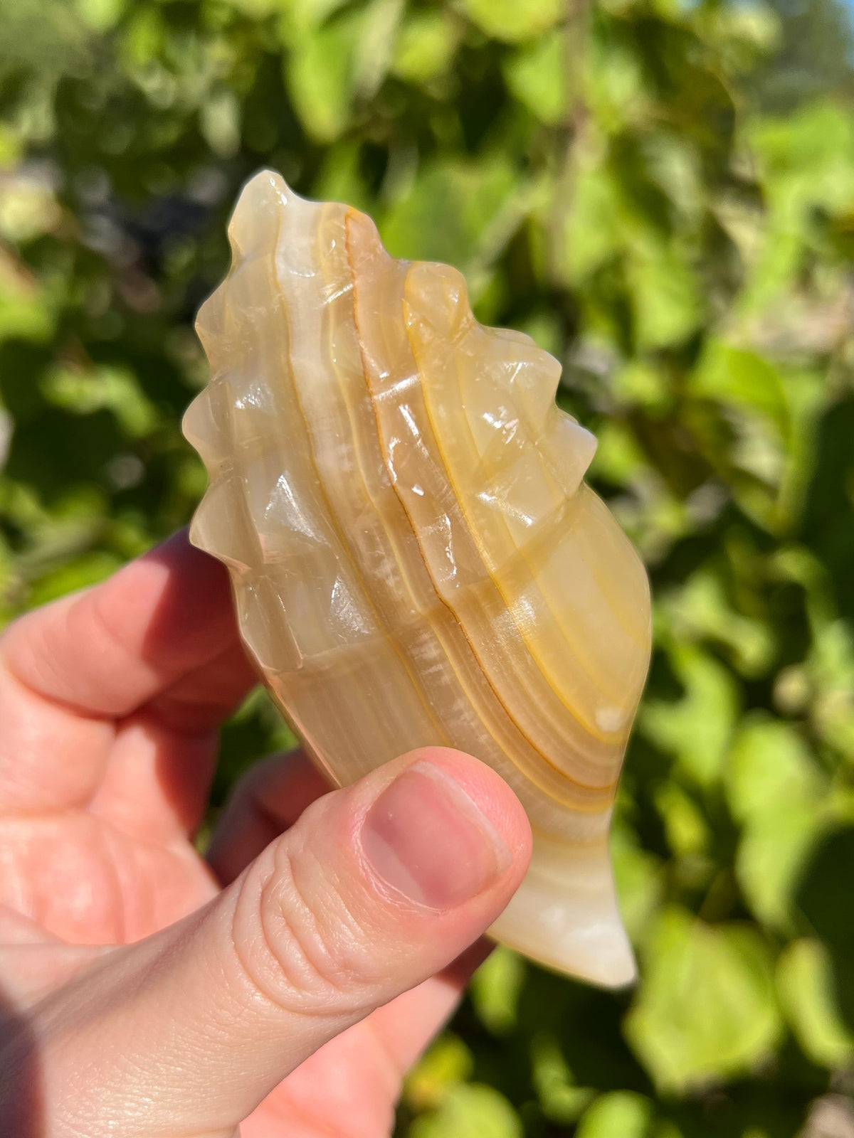 Mexican Onyx Shell Carvings