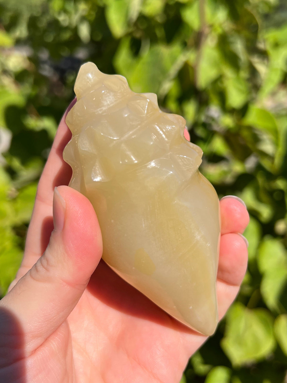 Mexican Onyx Shell Carvings