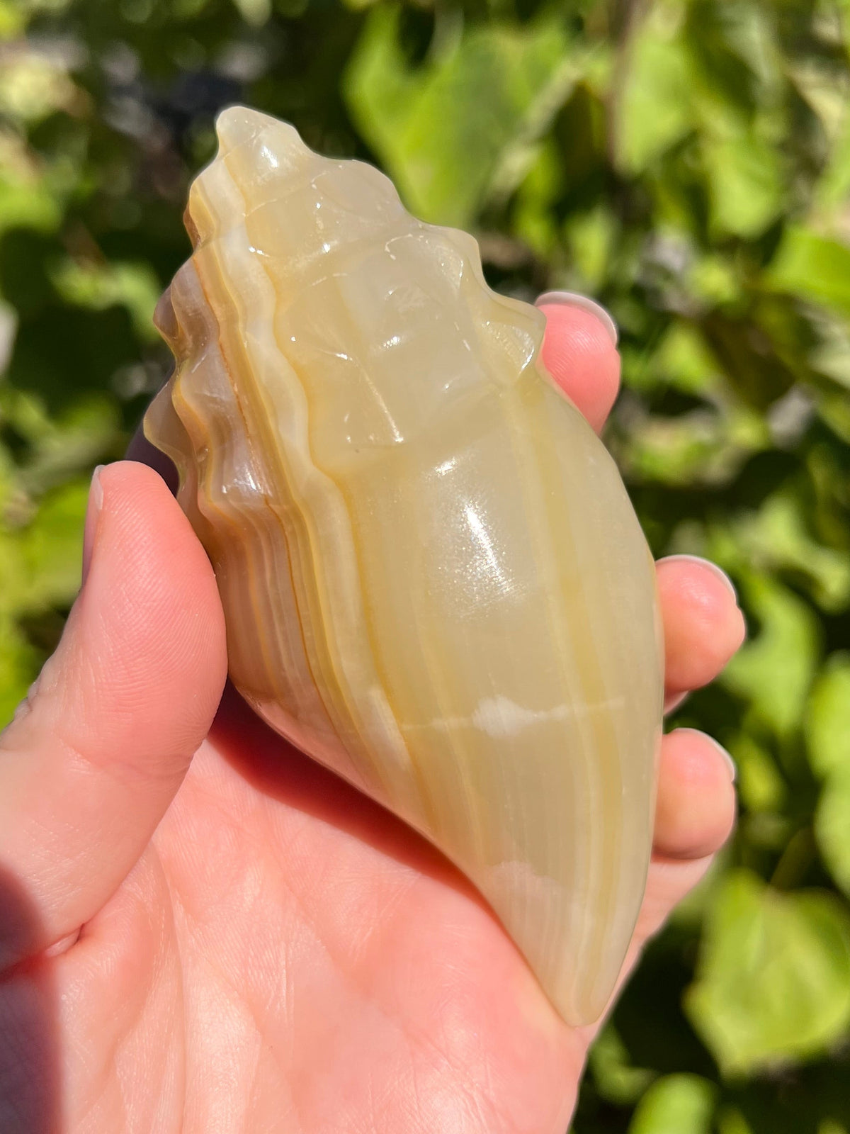 Mexican Onyx Shell Carvings
