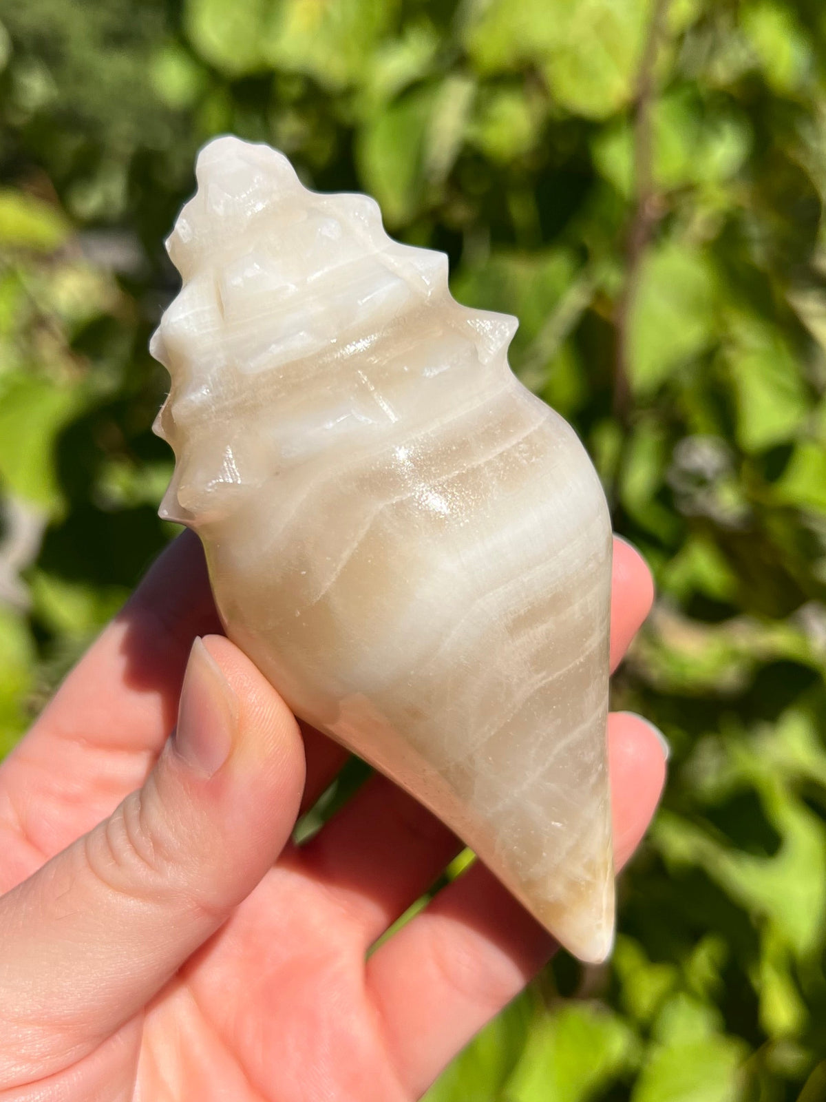 Mexican Onyx Shell Carvings