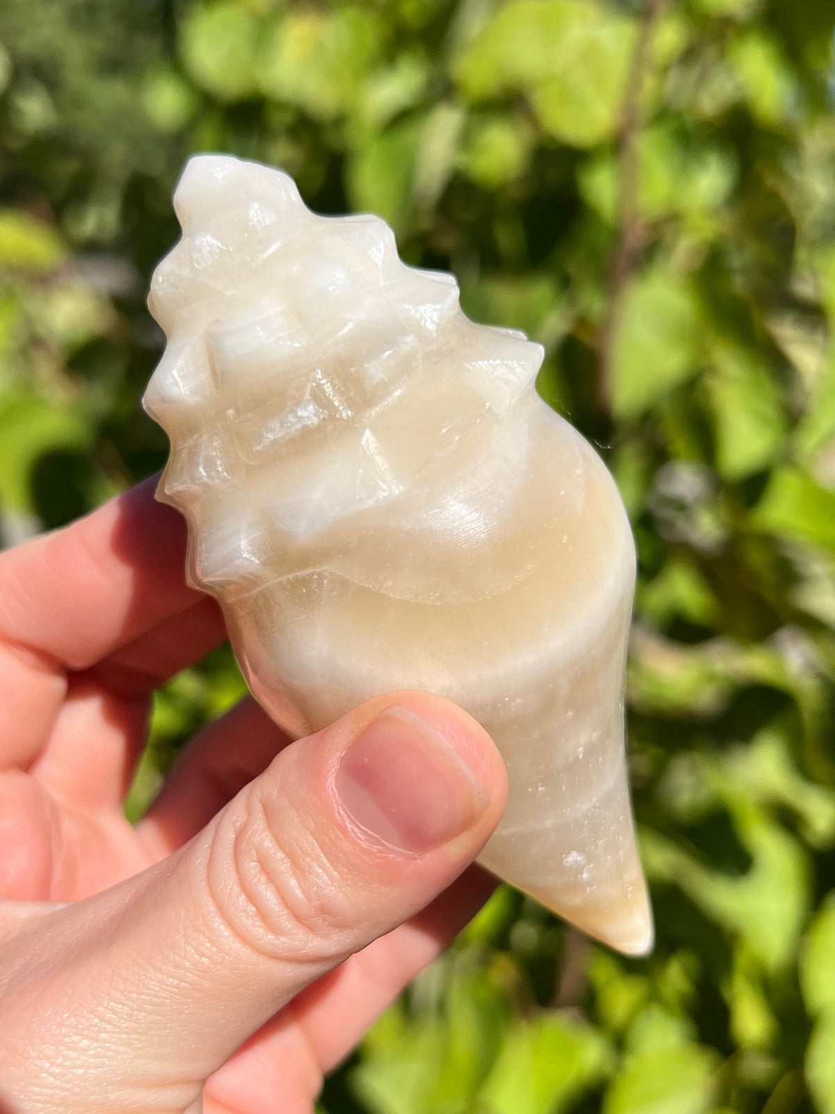 Mexican Onyx Shell Carvings