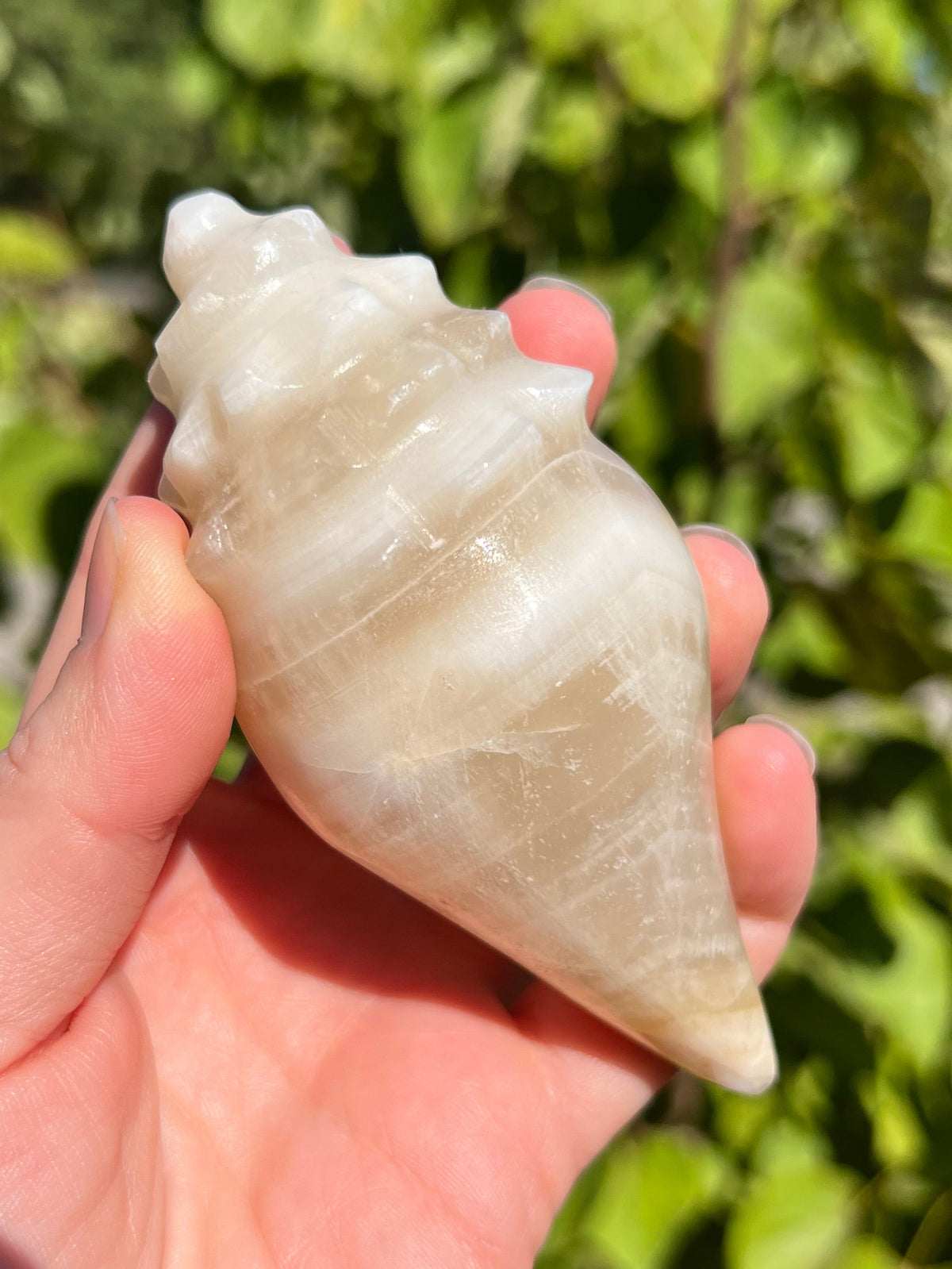 Mexican Onyx Shell Carvings