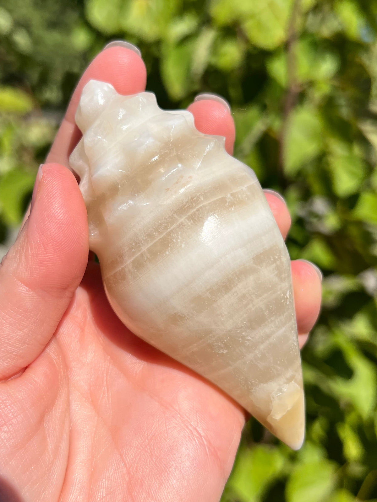 Mexican Onyx Shell Carvings