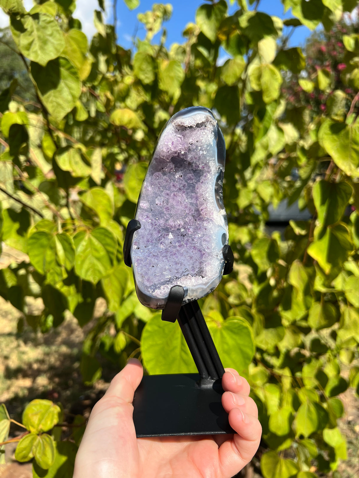 Amethyst with Agate Freeforms on Stands
