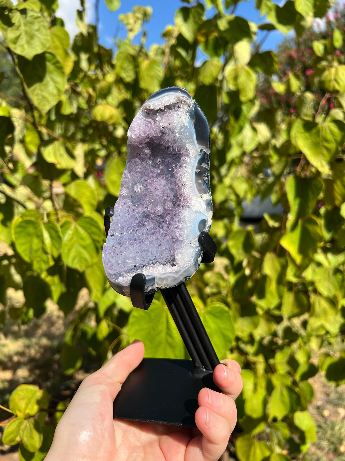 Amethyst with Agate Freeforms on Stands