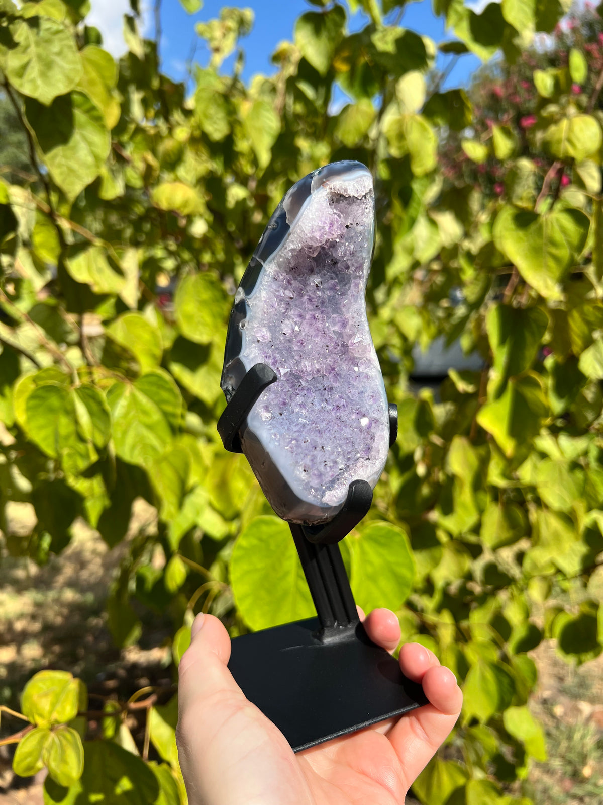 Amethyst with Agate Freeforms on Stands