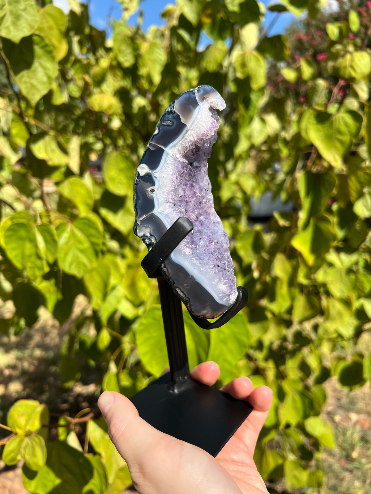 Amethyst with Agate Freeforms on Stands