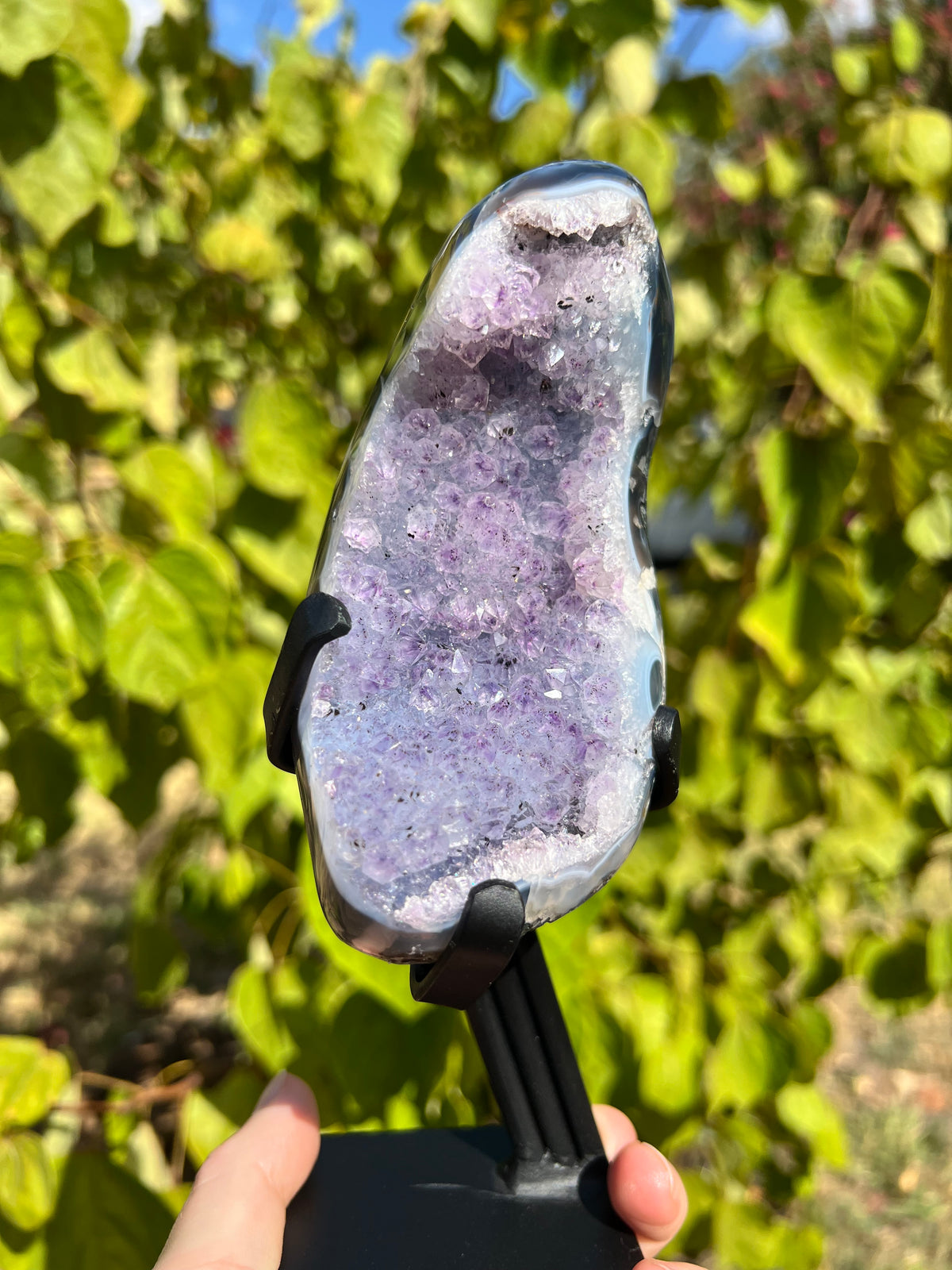 Amethyst with Agate Freeforms on Stands