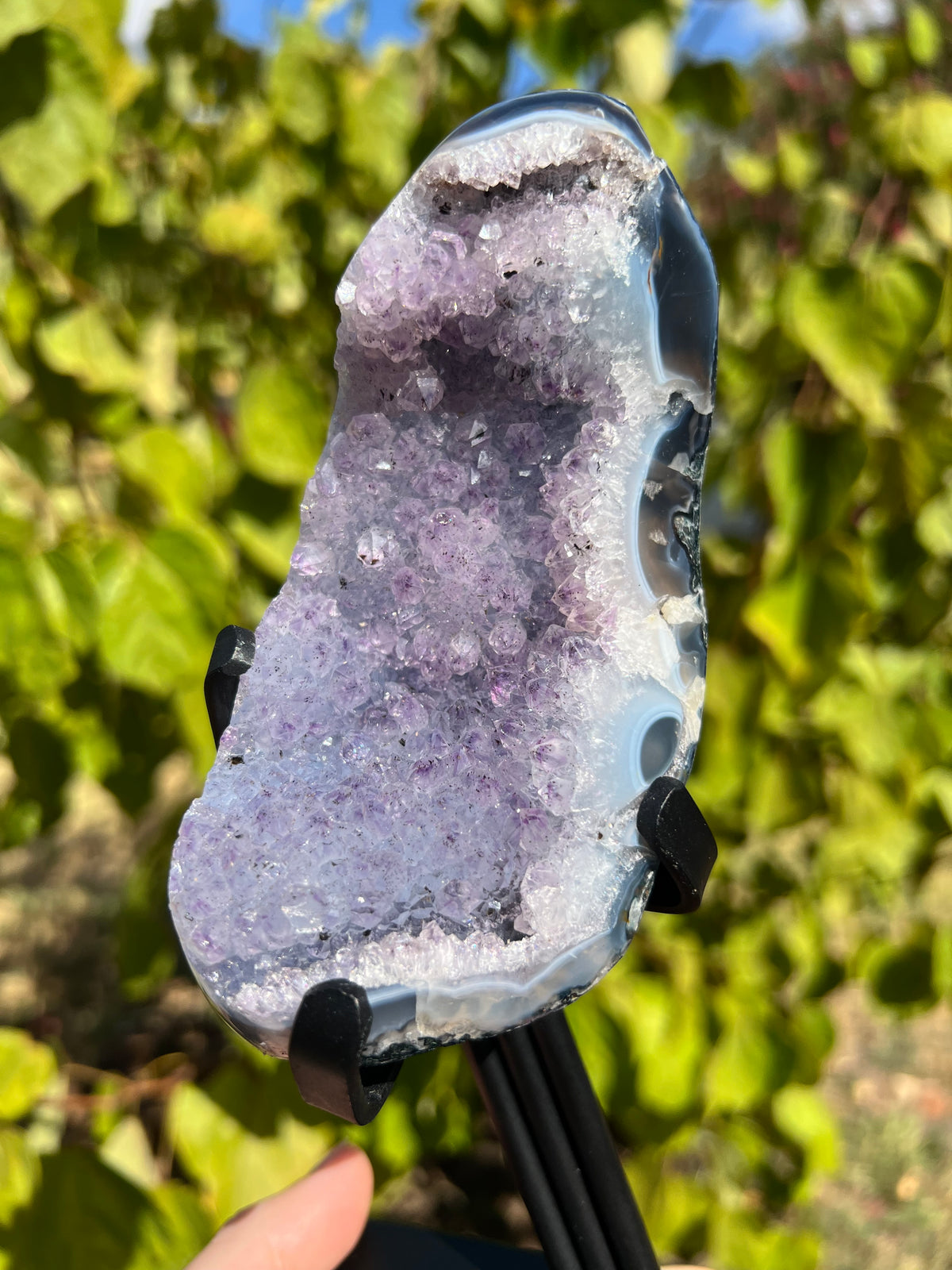 Amethyst with Agate Freeforms on Stands