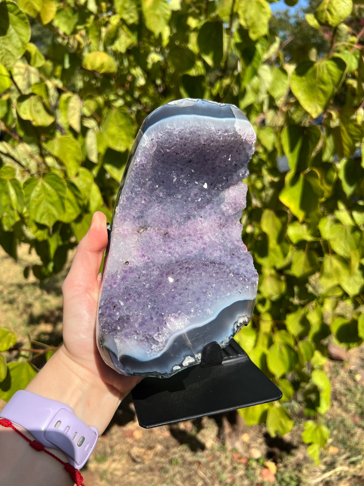 Amethyst with Agate Freeforms on Stands