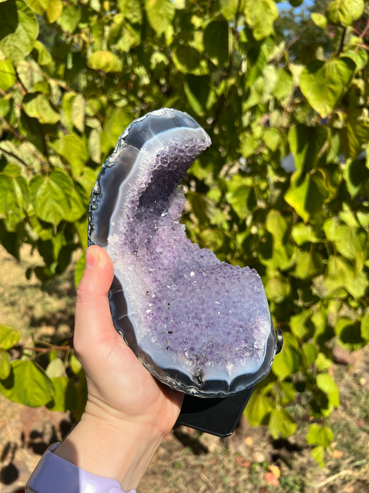 Amethyst with Agate Freeforms on Stands