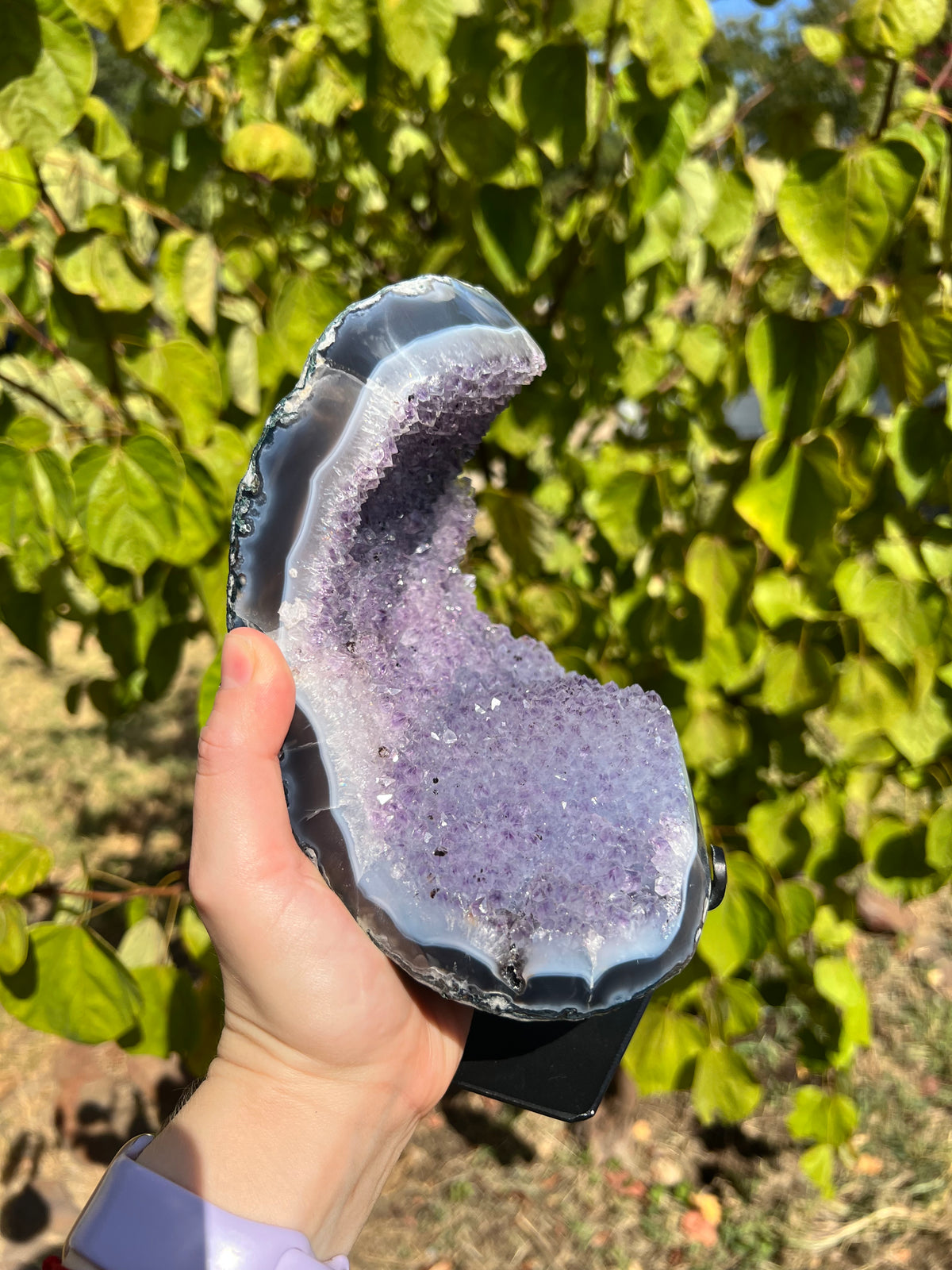 Amethyst with Agate Freeforms on Stands