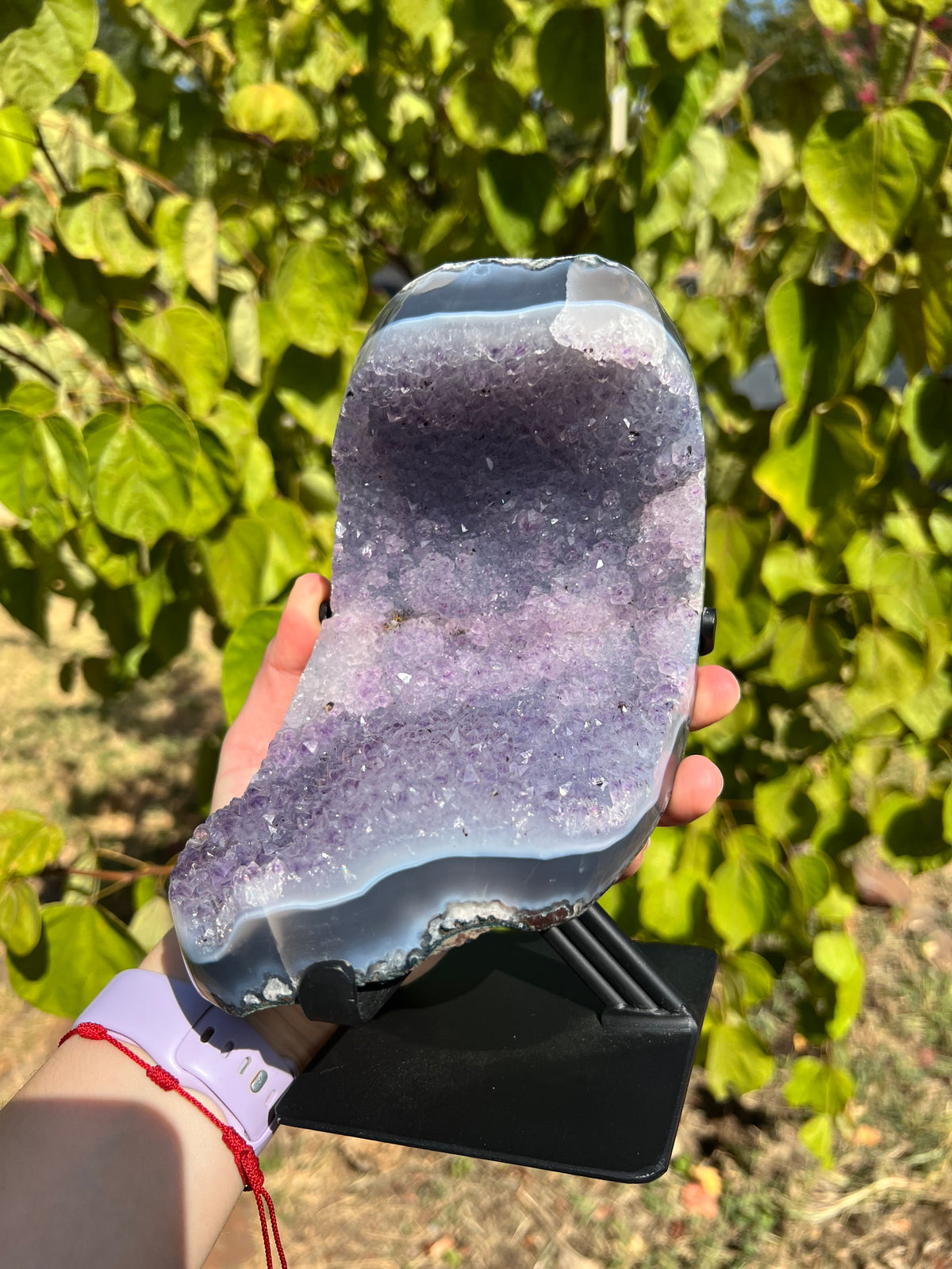 Amethyst with Agate Freeforms on Stands