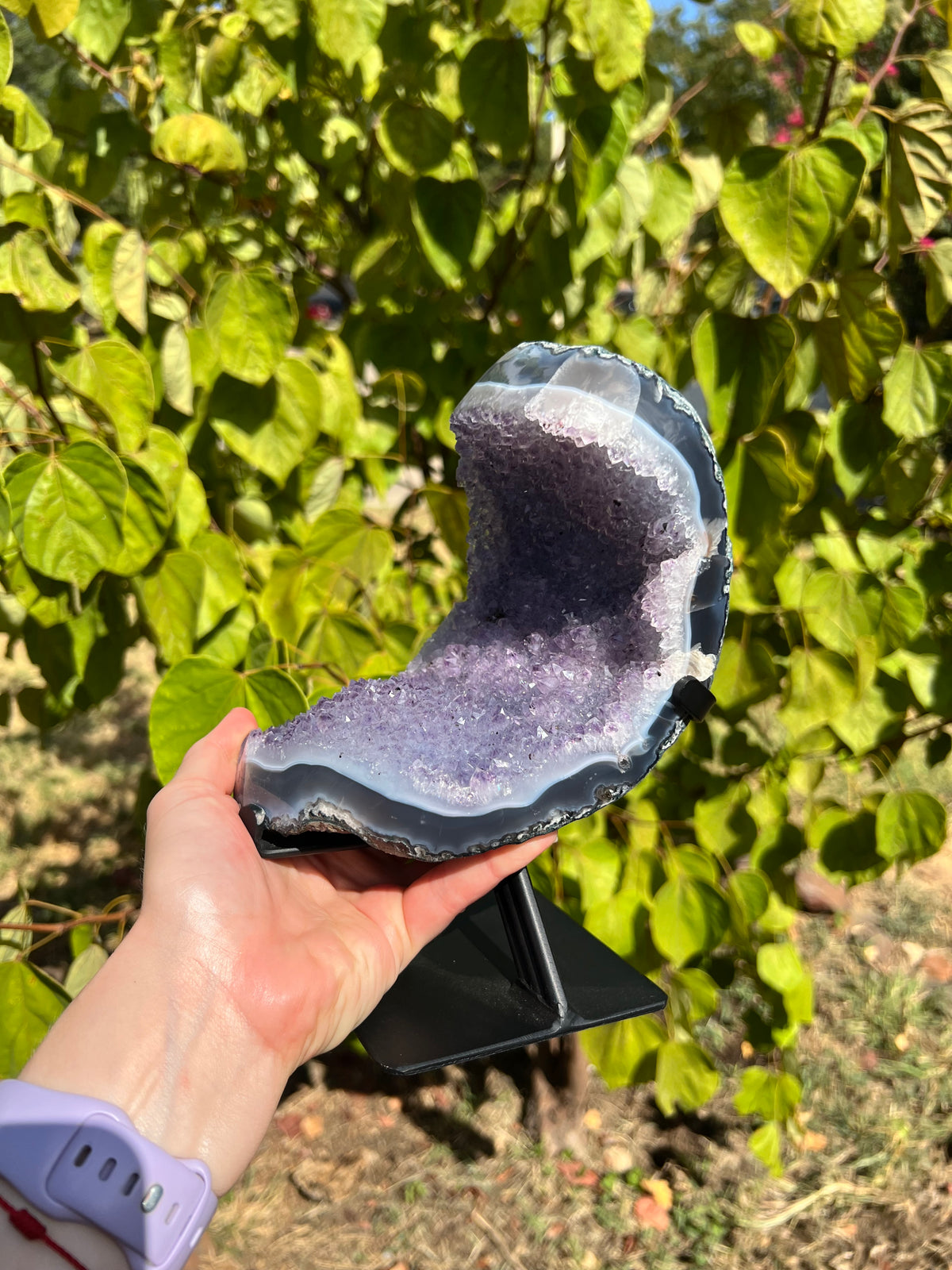 Amethyst with Agate Freeforms on Stands