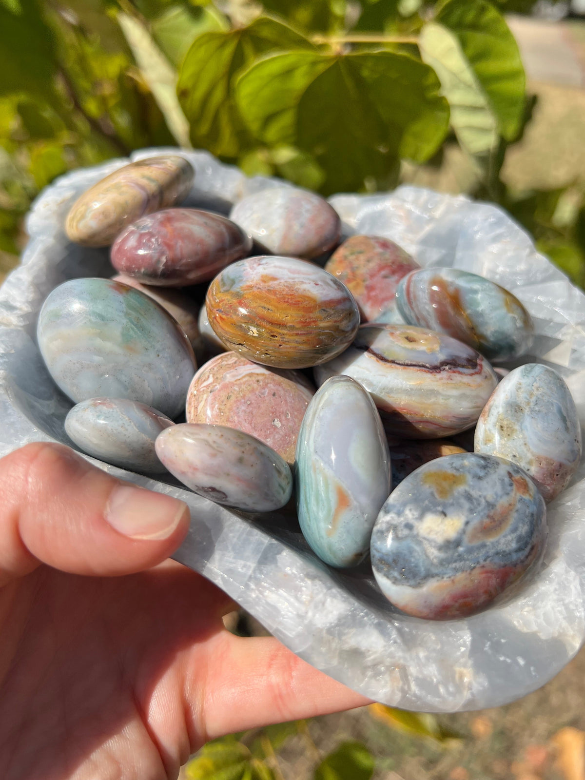 Sea Jasper Palm Stones