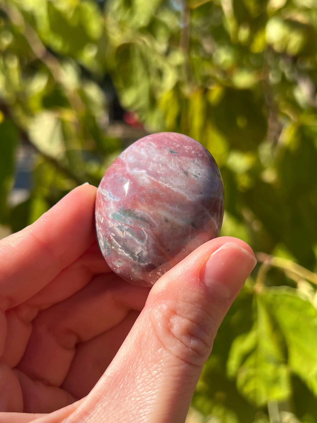 Sea Jasper Palm Stones