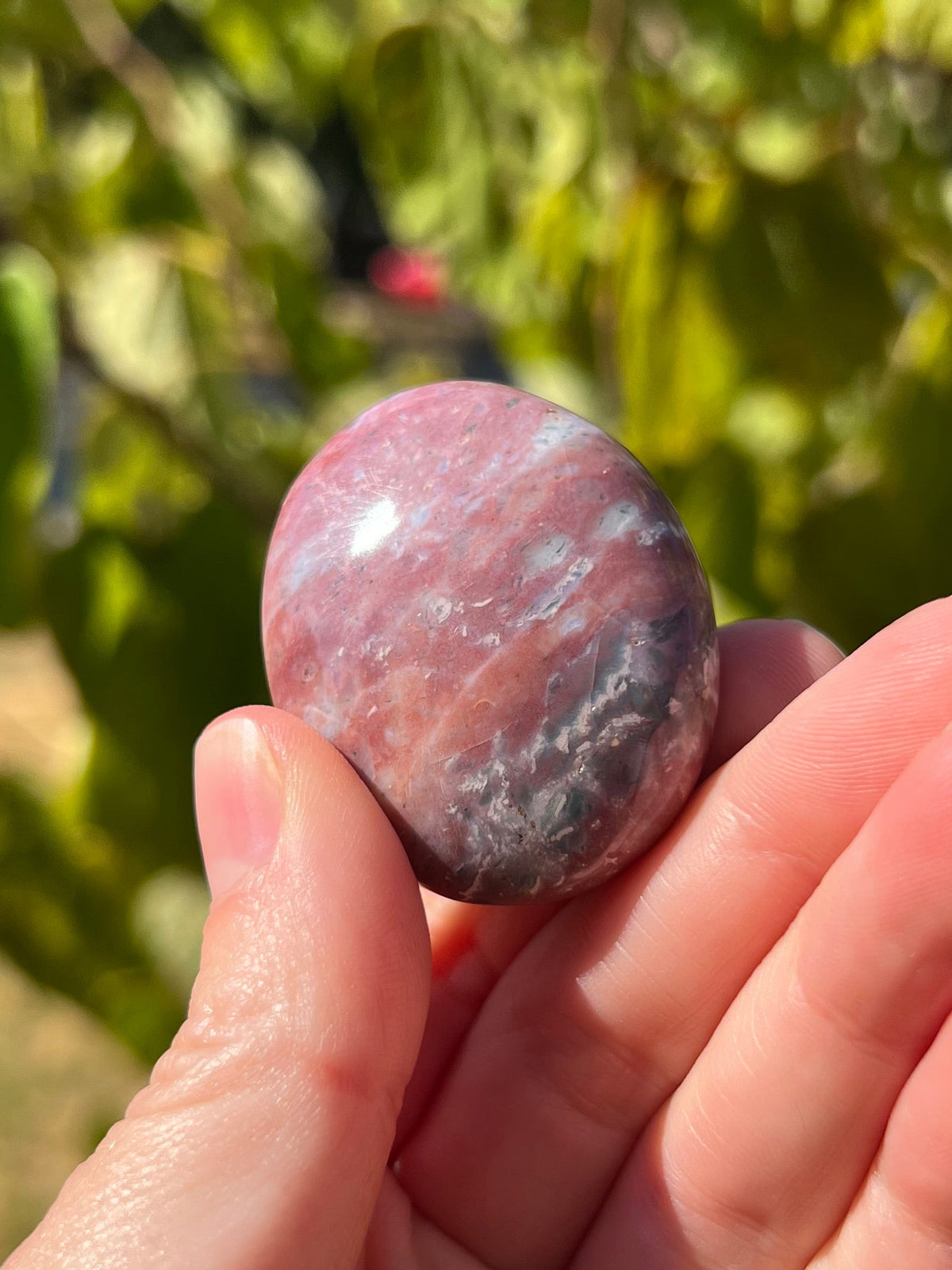 Sea Jasper Palm Stones