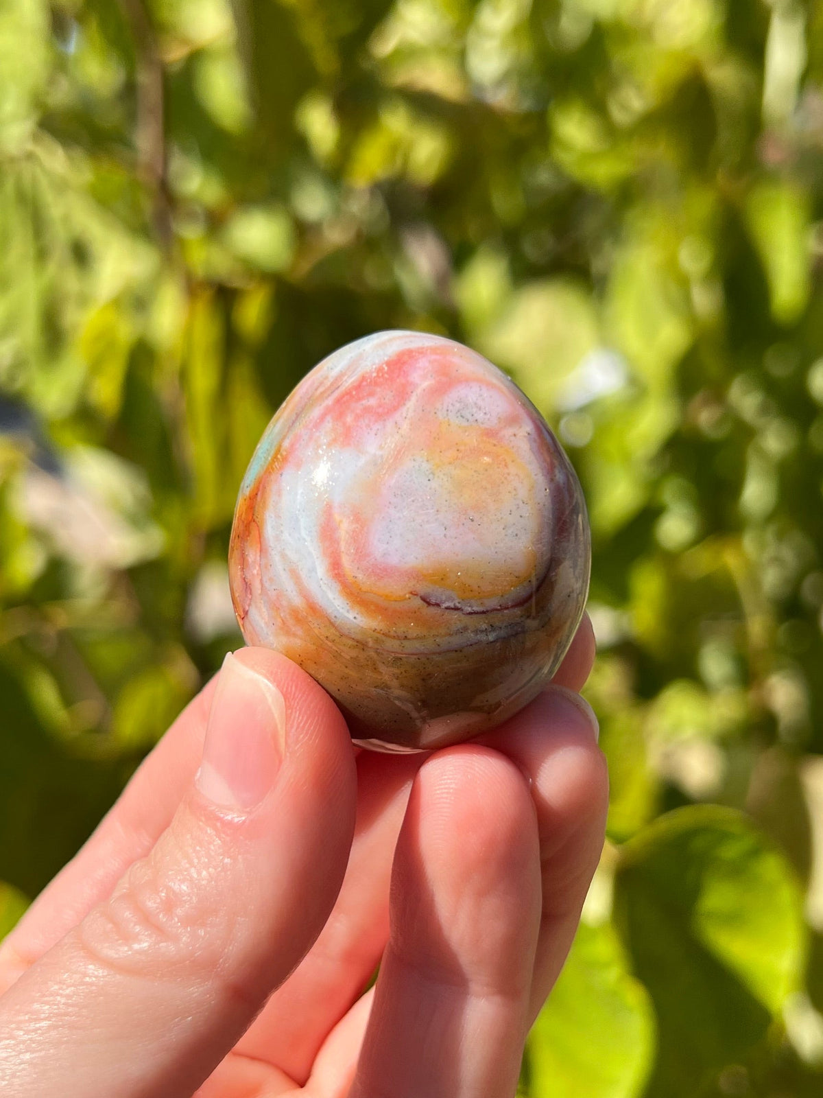Sea Jasper Palm Stones