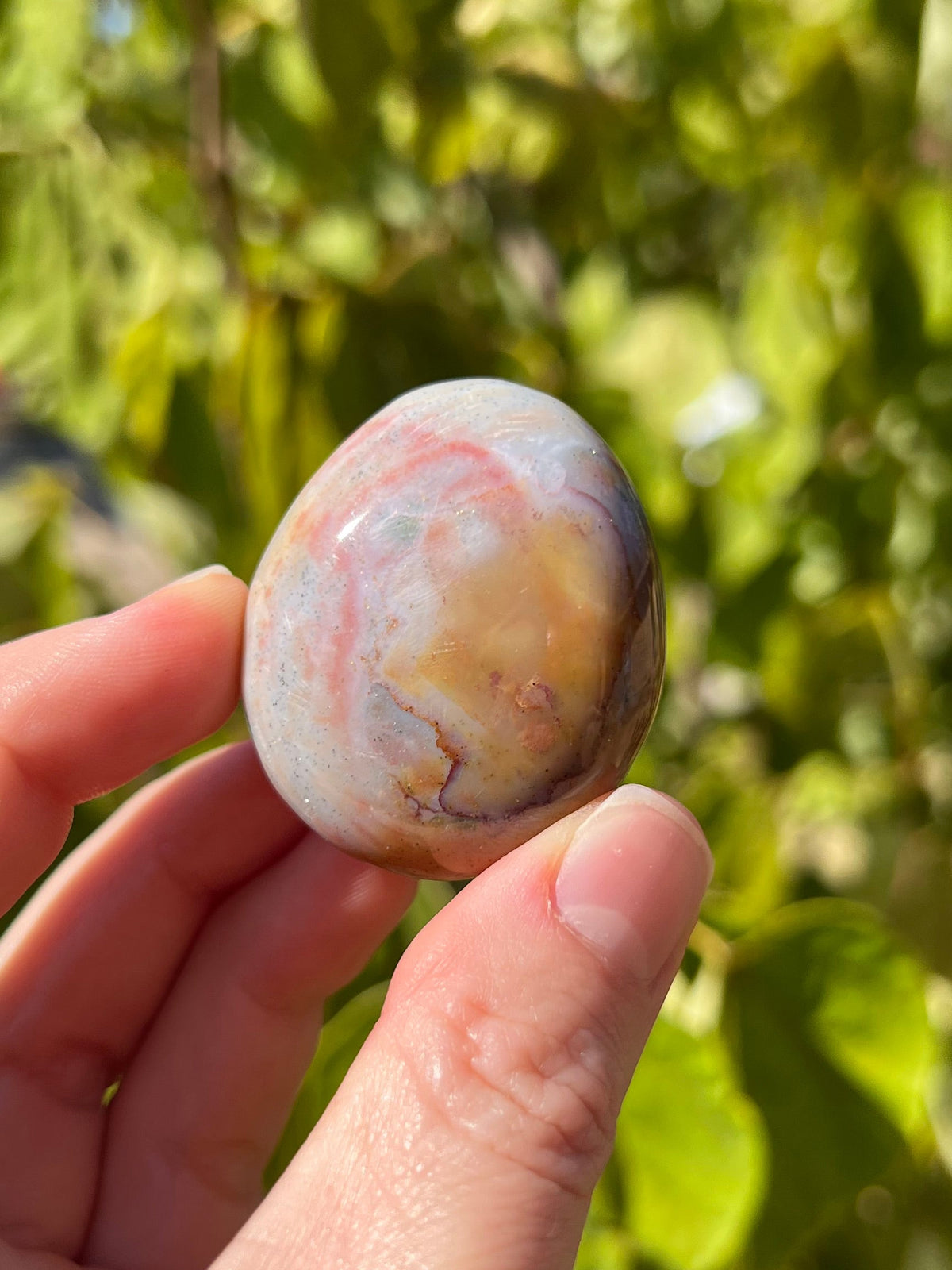 Sea Jasper Palm Stones