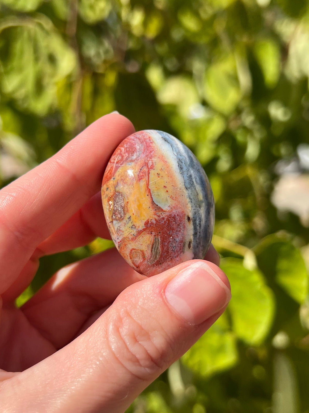 Sea Jasper Palm Stones