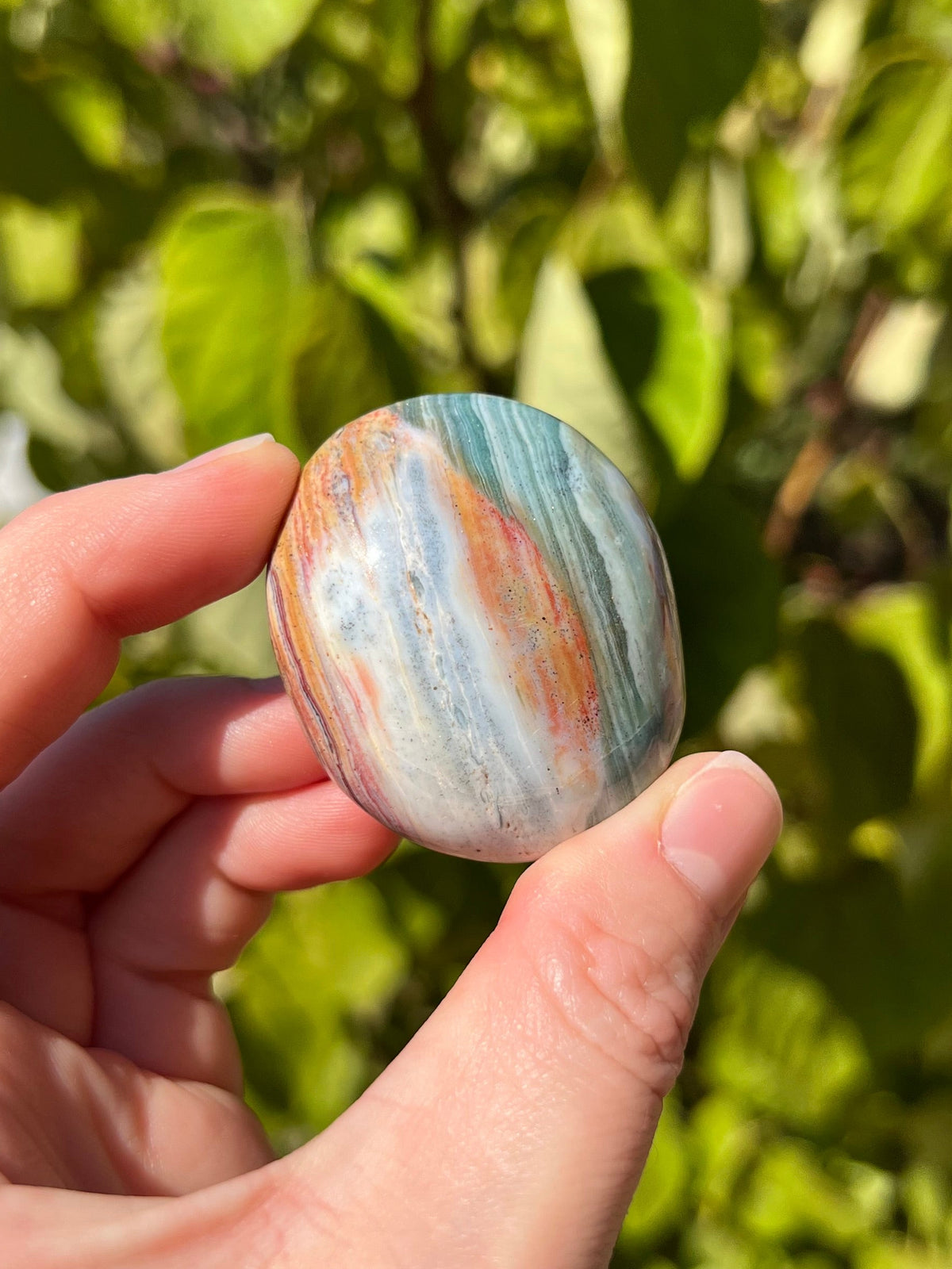 Sea Jasper Palm Stones