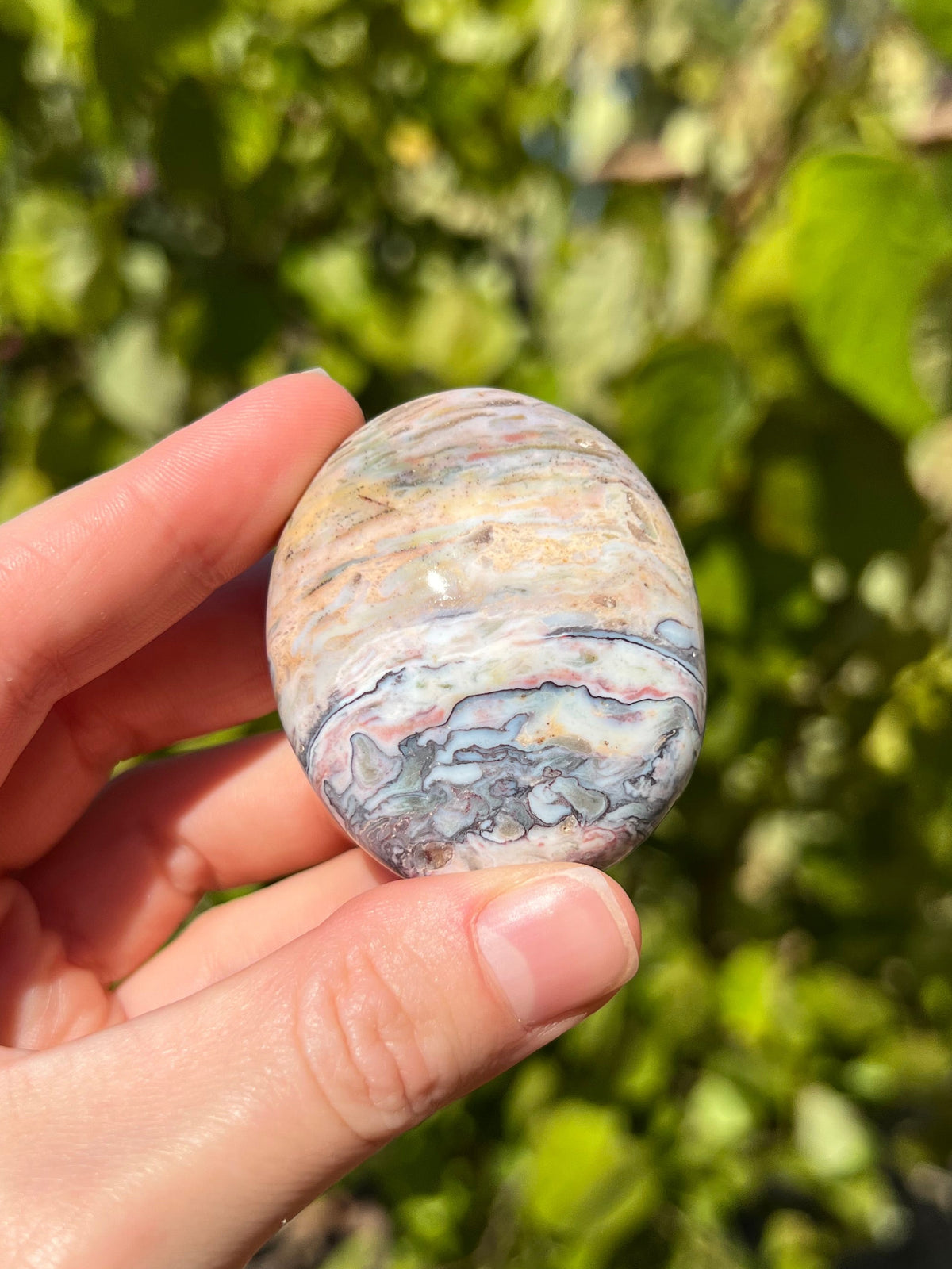 Sea Jasper Palm Stones